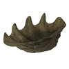 Lifelike Cast Polyresin Giant Clam Shell Decorative Bowl Additional image