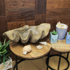 Lifelike Cast Polyresin Giant Clam Shell Decorative Bowl Lifestyle image 2