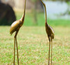 SPI Aluminum Crane Set of 2 Statues Additional image