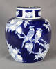 AAI Blue and White Bird and Fruit Ginger Jar Main image