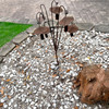 Metal Mushroom Garden Rain Bell Stake Brown 30 Inch Decorative Sculpture Lifestyle image 3