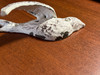 Charming Set of 5 Coastal Coral Color Cast Iron Flying Birds Wall Sculptures Image of main defect