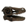 Velociraptor Statue Brown Resin Dinosaur Fossil Replica 7 Inch Decor Additional image