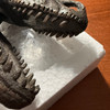 Velociraptor Statue Brown Resin Dinosaur Fossil Replica 7 Inch Decor Image of main defect