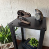 Velociraptor Statue Brown Resin Dinosaur Fossil Replica 7 Inch Decor Additional Image 6