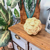 Set of 3 Decorative Jute Orbs 6 in Braided Rope Bowl Filler Balls Lifestyle image 5