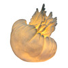 Jellyfish Table Lamp Matte White Resin Coastal Accent Light 10 in Tall Additional image