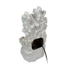 Coastal Tabletop Water Fountain White Resin LED Coral Shells 15.5 Inch Additional image