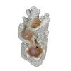 Coastal Tabletop Water Fountain White Resin LED Coral Shells 15.5 Inch Additional image