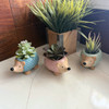 Hedgehog Planter Set of 3 Porcelain Succulent Pots with Drainage 4.5 Inch Lifestyle image 4