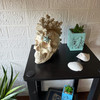 Illuminated Coastal Statue LED Eyes Coral Resin 7.5 Inch Gothic Decor Lifestyle image 2