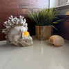 Illuminated Coastal Statue LED Eyes Coral Resin 7.5 Inch Gothic Decor Lifestyle image 3