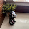 Day of the Dead Skeleton Dog Figurine Glossy Resin 8.75 Inch Halloween Decor Lifestyle image 4