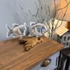 Hand-Carved Wood Fish Statue Coastal Driftwood-Style Base 11 Inch White Lifestyle image 2