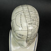 AA Importing 59898 Small Phrenology Head Additional image