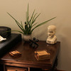 AA Importing 59898 Small Phrenology Head Lifestyle image 1