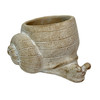 Cement Snail Planter Natural Textured Indoor Pot 10.5 Inch Tabletop Decor Main image