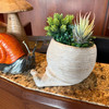 Cement Snail Planter Natural Textured Indoor Pot 10.5 Inch Tabletop Decor Lifestyle image 3