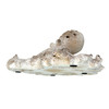 White Coral Octopus Statue Resin Coastal Tabletop Sculpture 11.5 Inch Additional image