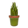 Ceramic Potted Agave Plant Sculpture Green Glossy 11 Inch Tabletop Decor Additional image