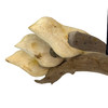 Driftwood Bird Hanging Mobile with Four Wood Birds 24 Inch Natural Decor Additional image
