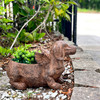 Flying Wiener Dog Planter 18" Brown, With Drain Hole, Rustic Garden Decor Additional Image 7