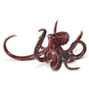 SPI Curious Octopus Main image