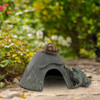 SPI Home Toad House with Snail 7.0" x 12.5" x 9.5" Main image