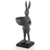 SPI Home Rabbit Gardener with Bowl Main image