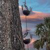 Heron Bird Rain Chain 84 Inch Brown Metal 7 Cup Downspout Alternative Lifestyle image 1