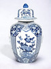 AAI 17" Porcelain Vase, Floral Design, Blue and White Main image