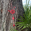 Red Metal Flamingo Wind Chime Bell with Spinning Sphere 25 Inch Hanging Decor Lifestyle image 5