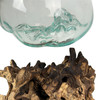 Molten Glass Vase on Teak Root Driftwood 13 Inch Indoor Terrarium Planter Additional image