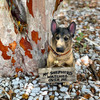 I Don't Dial 911 German Shepherd Guard Dog Warning Statue Lifestyle image 3