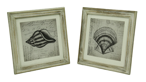 Set of 2 Sketched Seashells On French Postcard Script In Whitewashed Wood Frame Main image