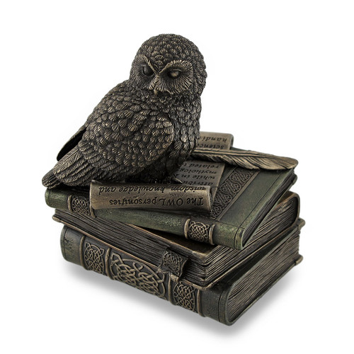 Owl Perched On Stack of Books Bronzed Trinket Box/Stash Box Statue Main image