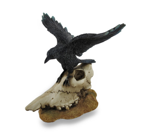 Black Open Winged Crow Perched On Sheep Skull Sculptural Figurine Main image
