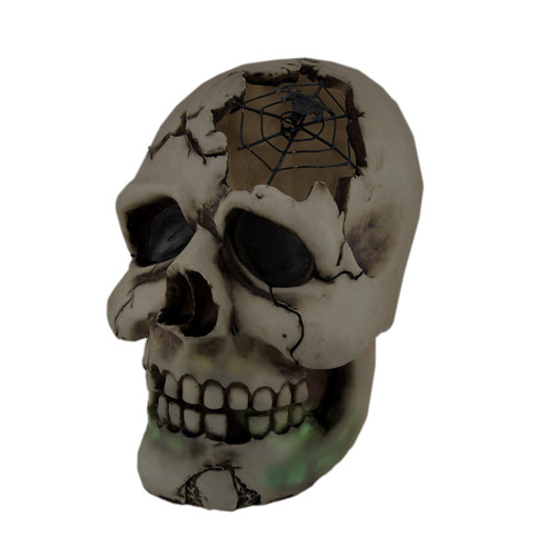 Color Changing LED Lighted Cracked Skull W/Web Statue Main image