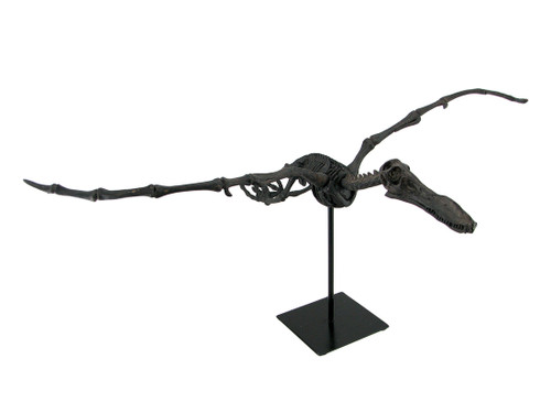 Museum Mounted Pterosaur Flying Dinosaur Fossil Replica Statue Main image