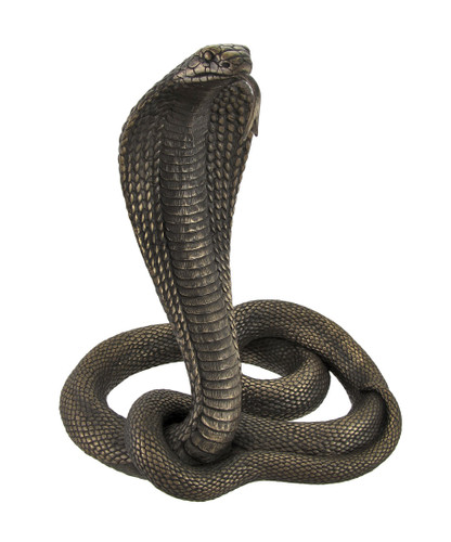 Large Bronzed King Cobra Statue Main image