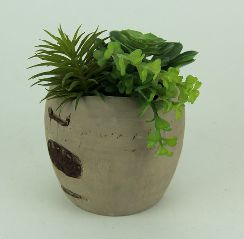 Artificial Succulents in Rustic Apple Shaped Wood Planter Additional image