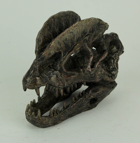 Dilophosaurus Dinosaur Head Fossil Statue Small Additional image