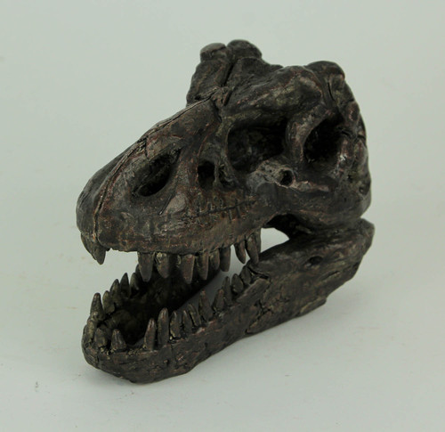 5.75 In Tyrannosaurus Rex Dinosaur Skull Fossil Statue Resin T-Rex Head Additional image