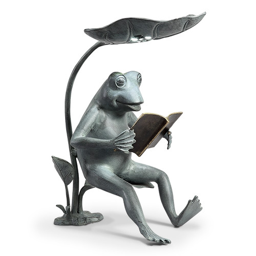 SPI Reading Frog Birdfeeder with L Main image