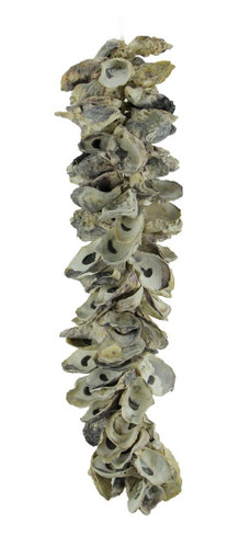 Natural Oyster Shell Indoor Outdoor Decor Main image