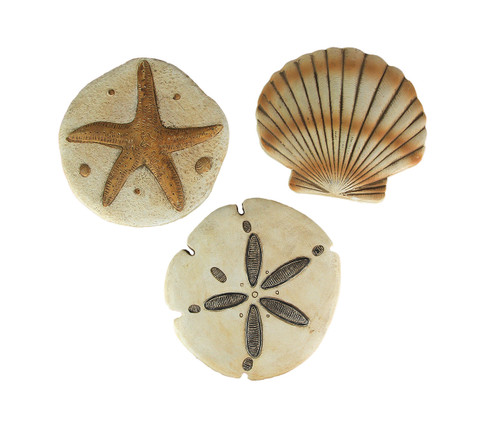 Set of 3 Cement Sea Shell Wall Hanging Sand Dollar Starfish Scallop Sculptures Main image