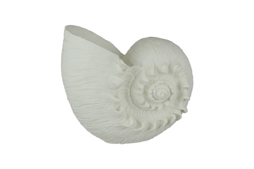 White Sandstone Finish Frilled Nautilus Shell Accent Lamp 10 Inches High Main image