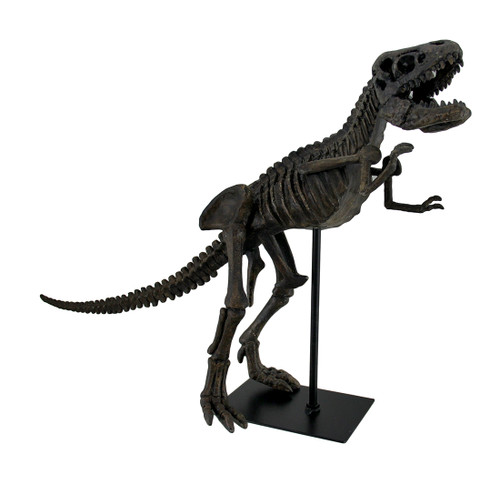 18 in. Long Tyrannosaurus Rex Dinosaur Fossil Statue On Museum Mount Main image