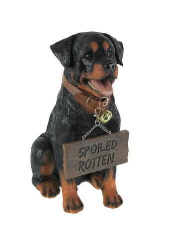 Buddy Rottweiler Guard Dog Indoor Outdoor Statue with Reversible Message Sign Main image