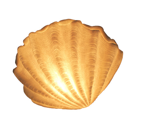 White Sandstone Finish Vertical Scallop Shell Coastal Art Accent Lamp Main image